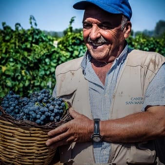 Cantina San Marzano