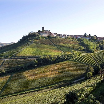 Barolo 