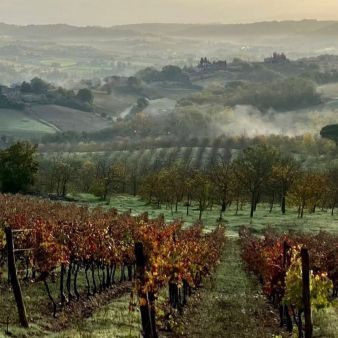 Tenuta Castiglioni | Frescobaldi