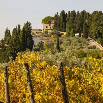 Castello Nipozzano | Frescobaldi