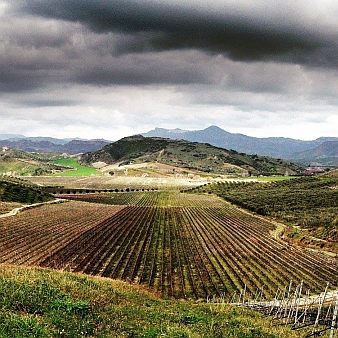 Librandi | Calabria