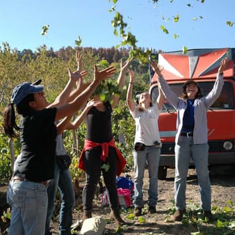 Tenuta delle Terre Nere