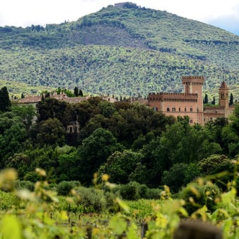 Castello di Bolgheri