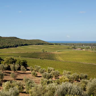 Guado al Tasso | Antinori