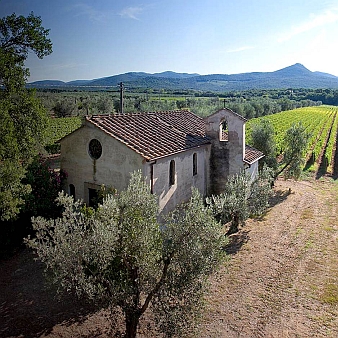 Poggio al Tesoro