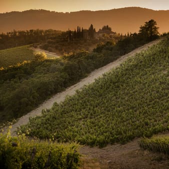 Castello di Ama