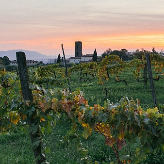 Tenuta di Valgiano