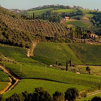 Tenuta Fanti