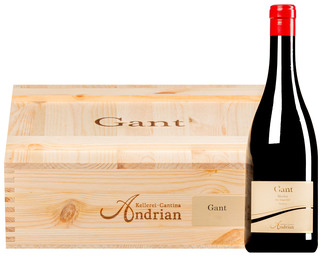 "Gant" Merlot Riserva Alto Adige DOC 2023 <br>3 bottles in OWC