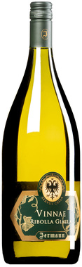 "Vinnae" Ribolla Gialla Venezia Giulia IGT 2025 <br>MAGNUM