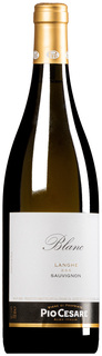 "Blanc" Sauvignon Bianco Langhe DOC 2024