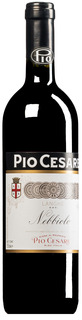 Nebbiolo Langhe DOC 2023