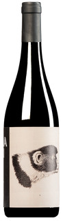 "Godenza" Sangiovese Predappio Romagna DOC 2023 (BIO)