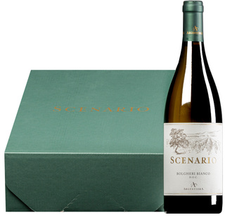 "Scenario" Bolgheri Bianco DOC 2024 <br>3 Flaschen in Geschenkkarton
