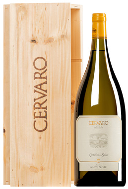 "Cervaro della Sala" Umbria IGT 2024 <br>MAGNUM in Original-Holzkiste