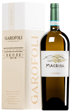 "Macrina" Verdicchio dei Castelli di Jesi Classico DOC 2025 <br>MAGNUM in confezione regalo