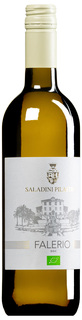 Bianco Falerio DOC 2025 (BIO)