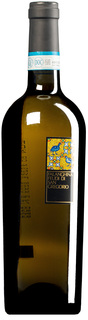 Falanghina del Sannio DOC 2025