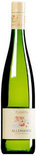 "Allemanda" Moscato Sicilia Noto DOC 2025 secco (BIO)