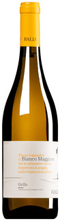 "Maggiore" Grillo Sicilia DOP 2025 (BIO)