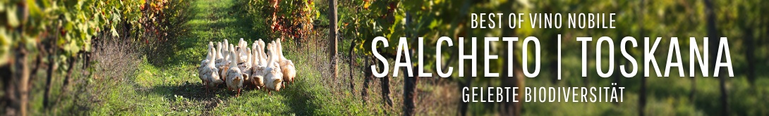 Salcheto
