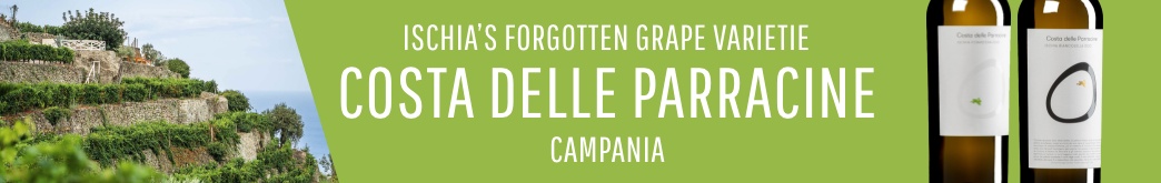 Costa delle Parracine