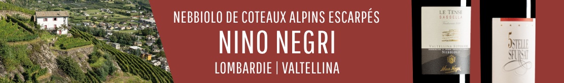 Nino Negri