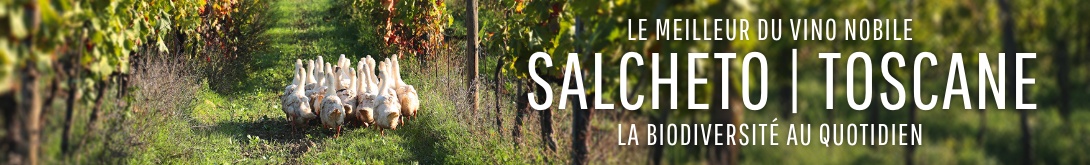 Salcheto