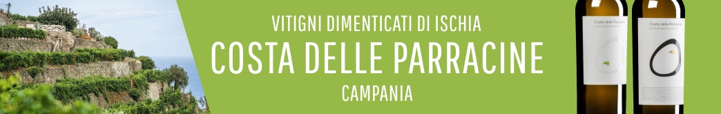 Costa delle Parracine