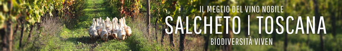 Salcheto